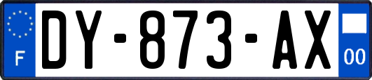 DY-873-AX