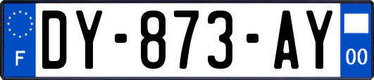 DY-873-AY