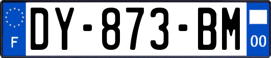 DY-873-BM