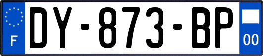 DY-873-BP