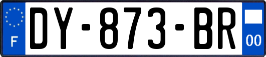 DY-873-BR