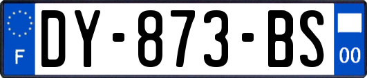DY-873-BS