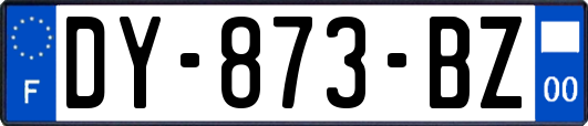 DY-873-BZ