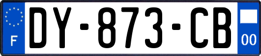 DY-873-CB
