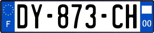 DY-873-CH