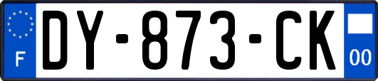 DY-873-CK