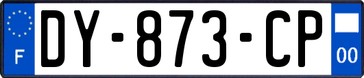 DY-873-CP