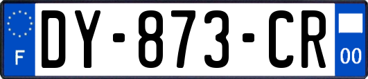 DY-873-CR