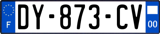 DY-873-CV