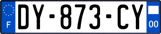 DY-873-CY