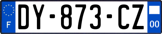 DY-873-CZ