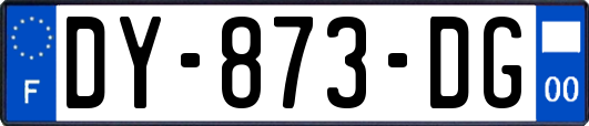 DY-873-DG