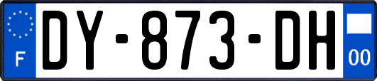 DY-873-DH