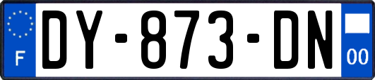 DY-873-DN
