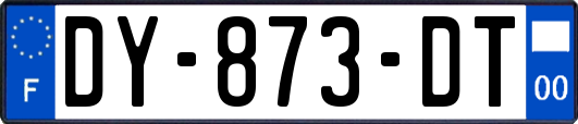 DY-873-DT