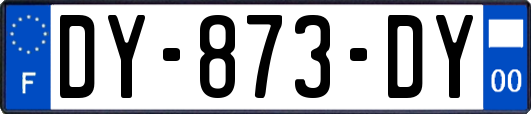 DY-873-DY