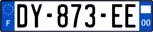 DY-873-EE