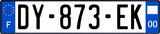 DY-873-EK