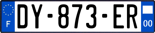 DY-873-ER