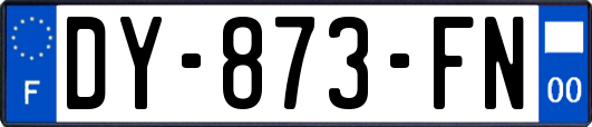 DY-873-FN
