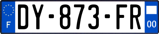 DY-873-FR