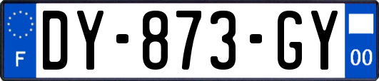 DY-873-GY