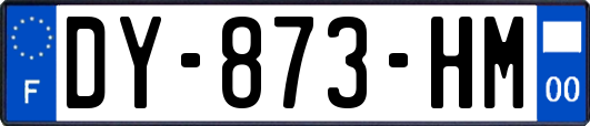 DY-873-HM