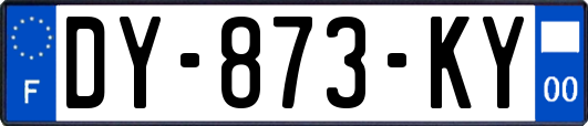 DY-873-KY