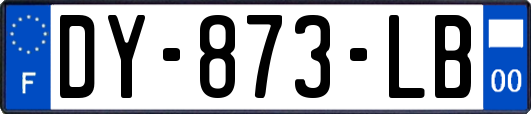 DY-873-LB