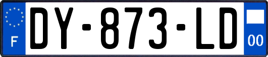 DY-873-LD