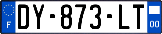 DY-873-LT