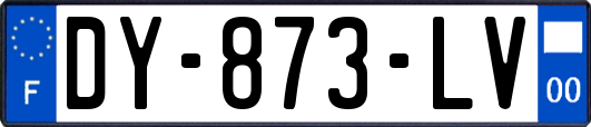 DY-873-LV