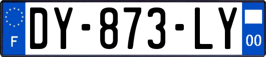 DY-873-LY