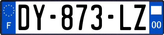 DY-873-LZ