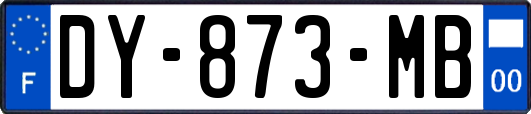 DY-873-MB