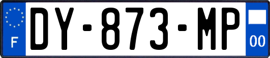 DY-873-MP