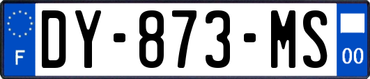 DY-873-MS