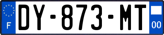 DY-873-MT