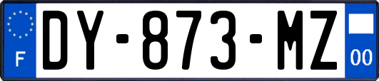 DY-873-MZ