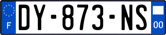 DY-873-NS