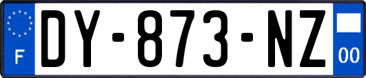 DY-873-NZ