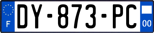 DY-873-PC