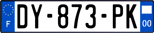 DY-873-PK