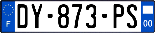 DY-873-PS
