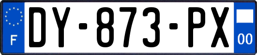 DY-873-PX
