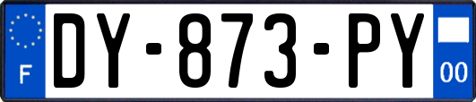 DY-873-PY