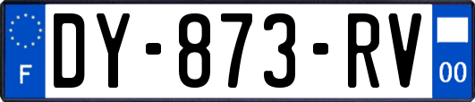 DY-873-RV