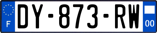 DY-873-RW