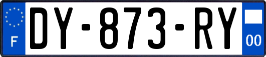 DY-873-RY