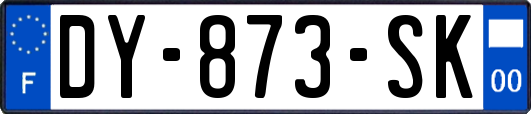 DY-873-SK